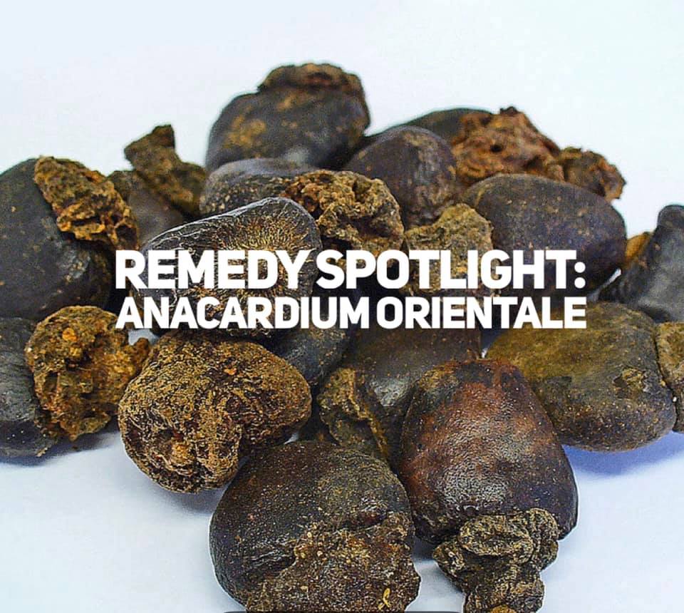 Anacardium Orientale