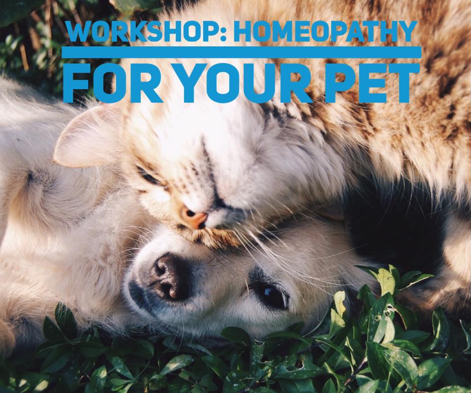 Unique Opportunity: 'Homeopathy for your Pet' Workshop