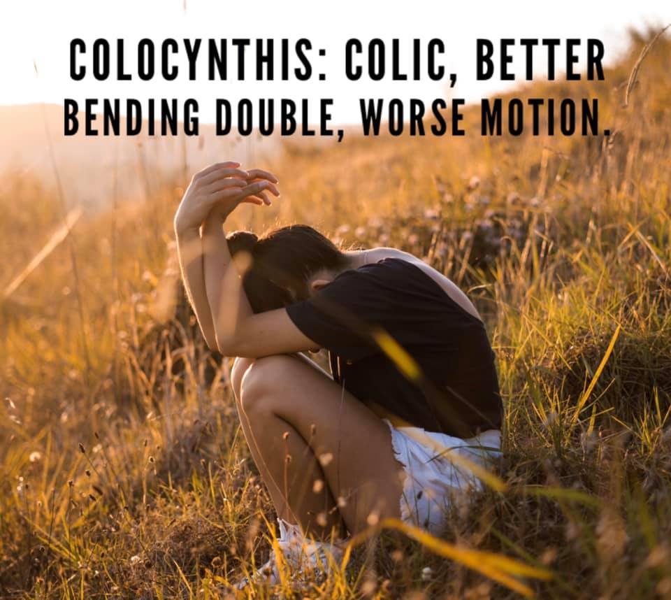Colocynthis as a homeopathic remedy