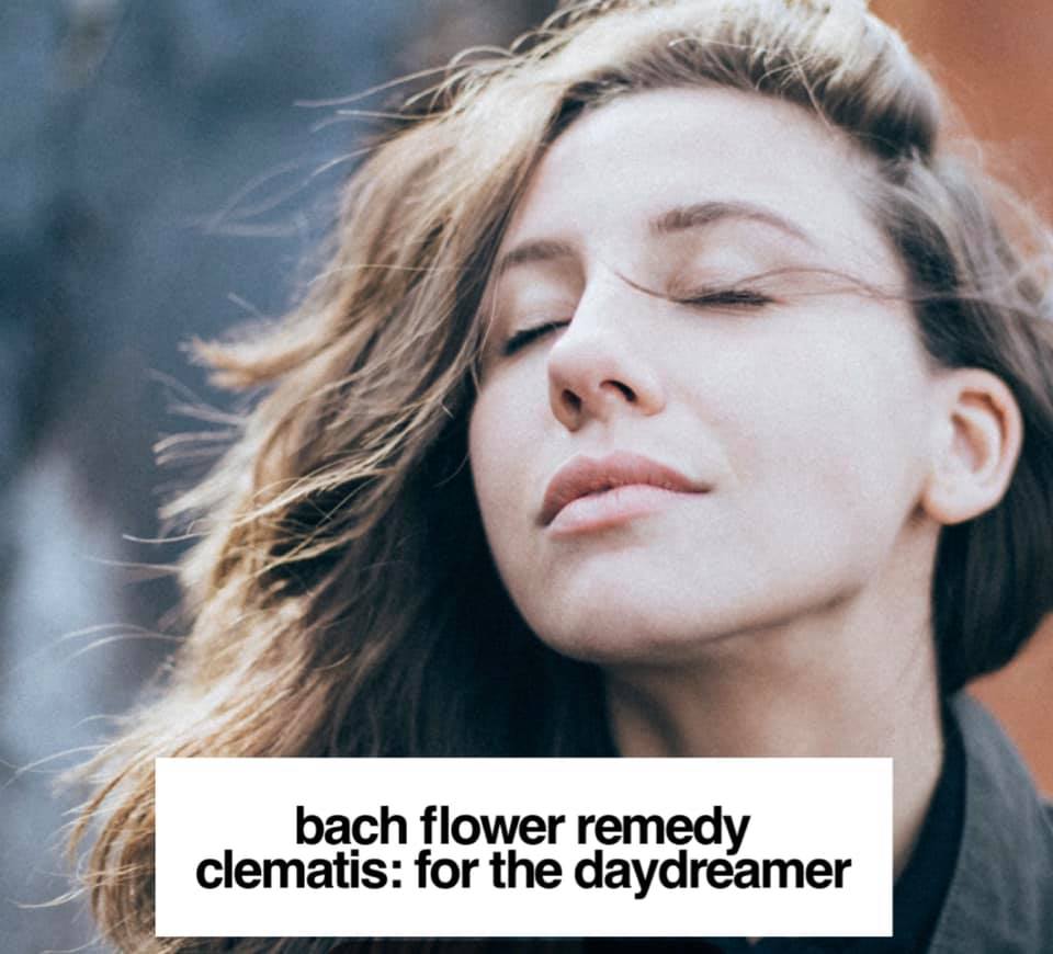 Bach Flower Remedy