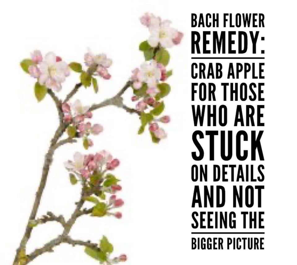 Bach Flower Remedy
