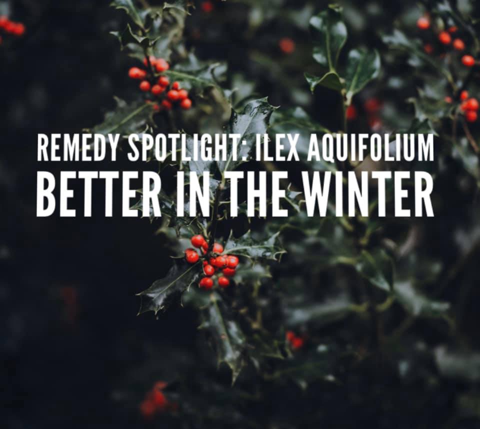 Remedy: Ilex Aquifolium