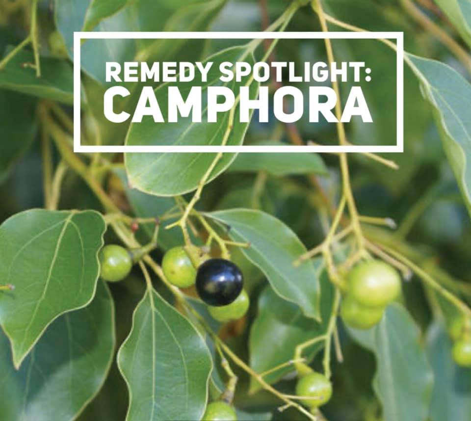 Camphora as told in the poem by Dr. Sylvia Chatroux