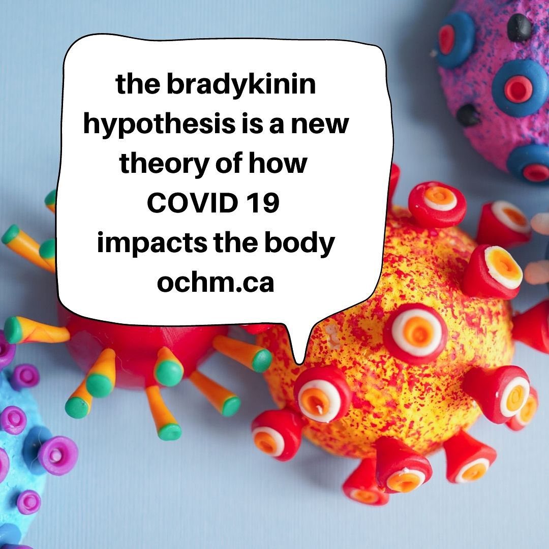 The Bradykinin Theory of how COVID 19 affects the Body