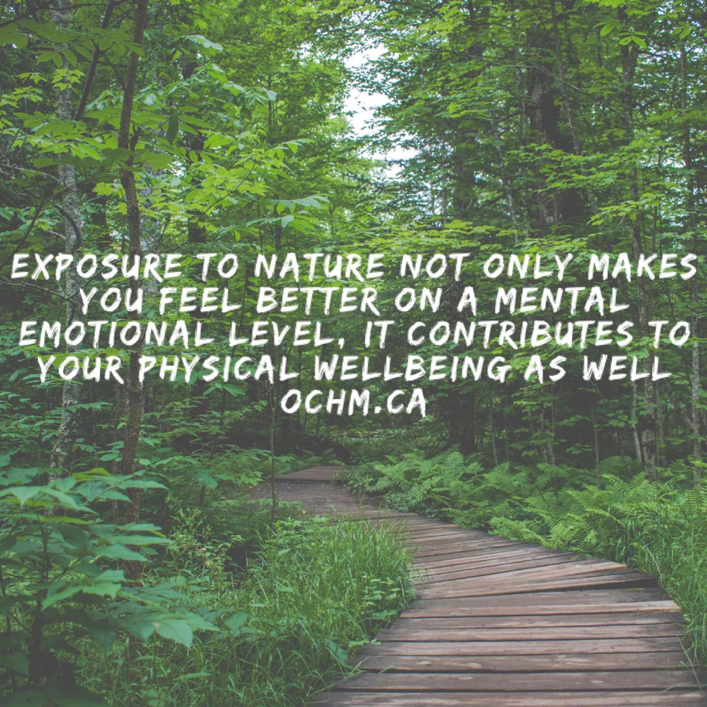 Exposure to Nature Increases Feel-Good Emotions