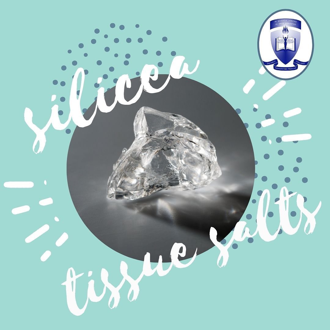 Silicea Tissue Salts