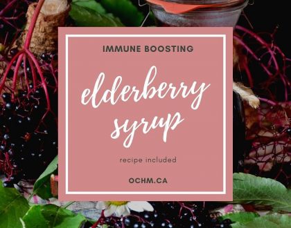 Elderberry syrup is a natural remedy for colds