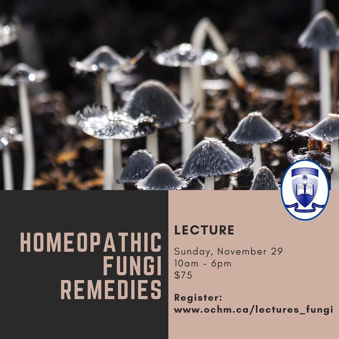 Lecture: Homeopathic Fungi Remedies