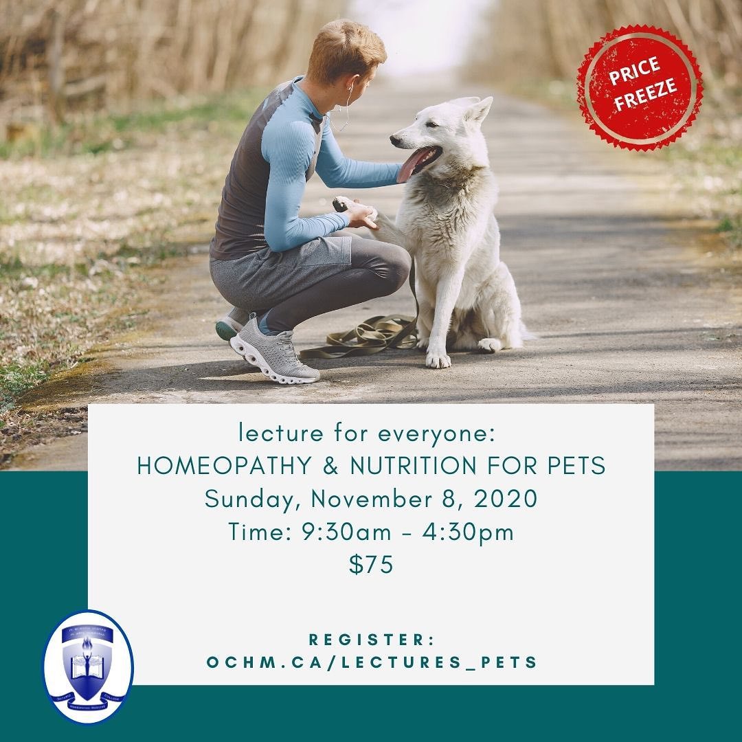 We have EXPANDED the Curriculum of our “Homeopathy for Pets” Seminar