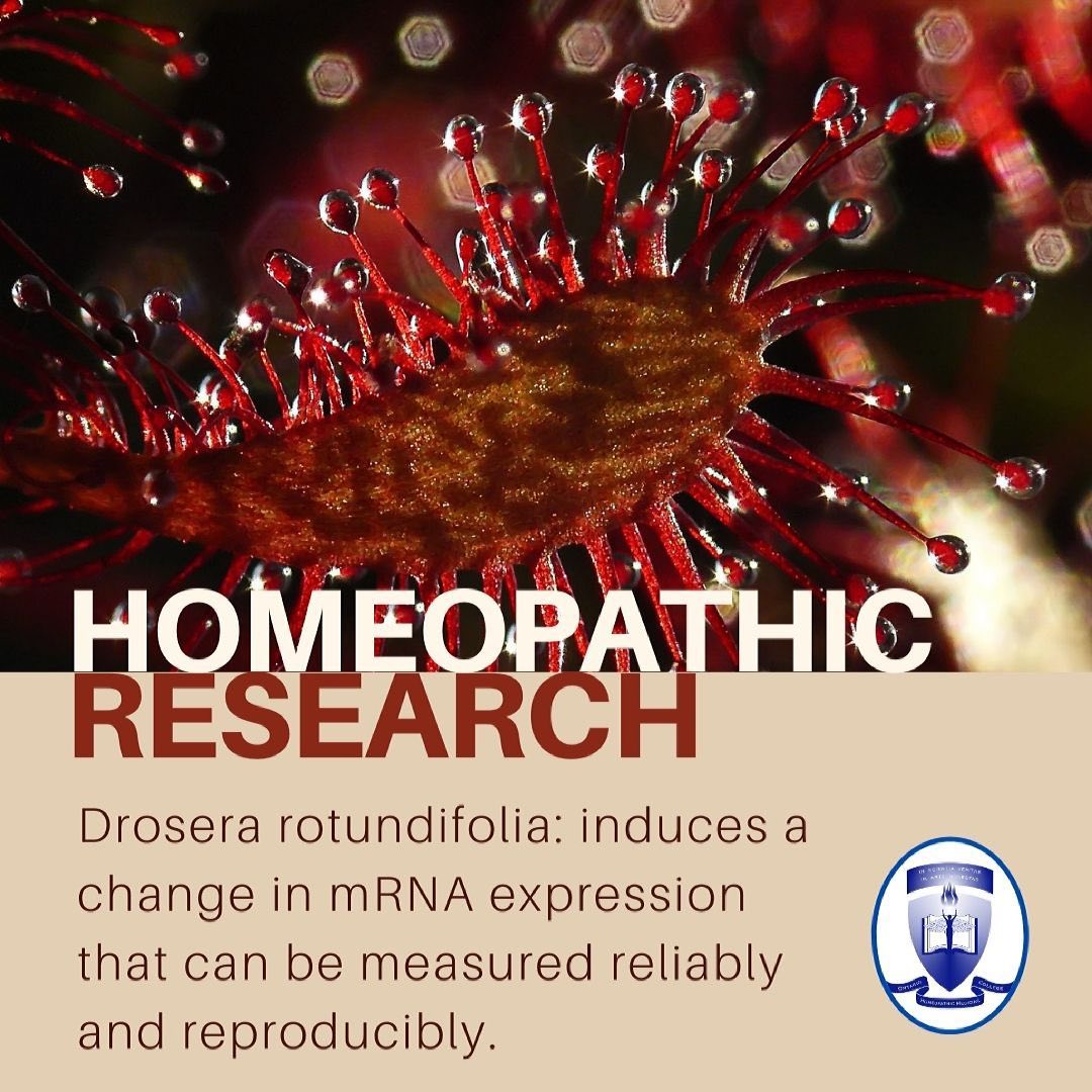 Drosera can induce a change in mRNA expression that can be measured reliably
