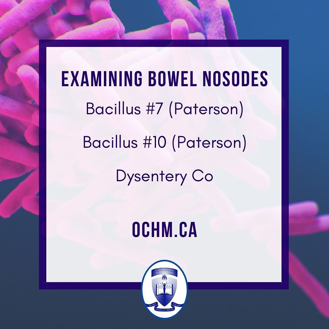 Quick Materia Medica on three Bowel Nosodes: Bacillus #7, Bacillus #10 and  Dysentery Co