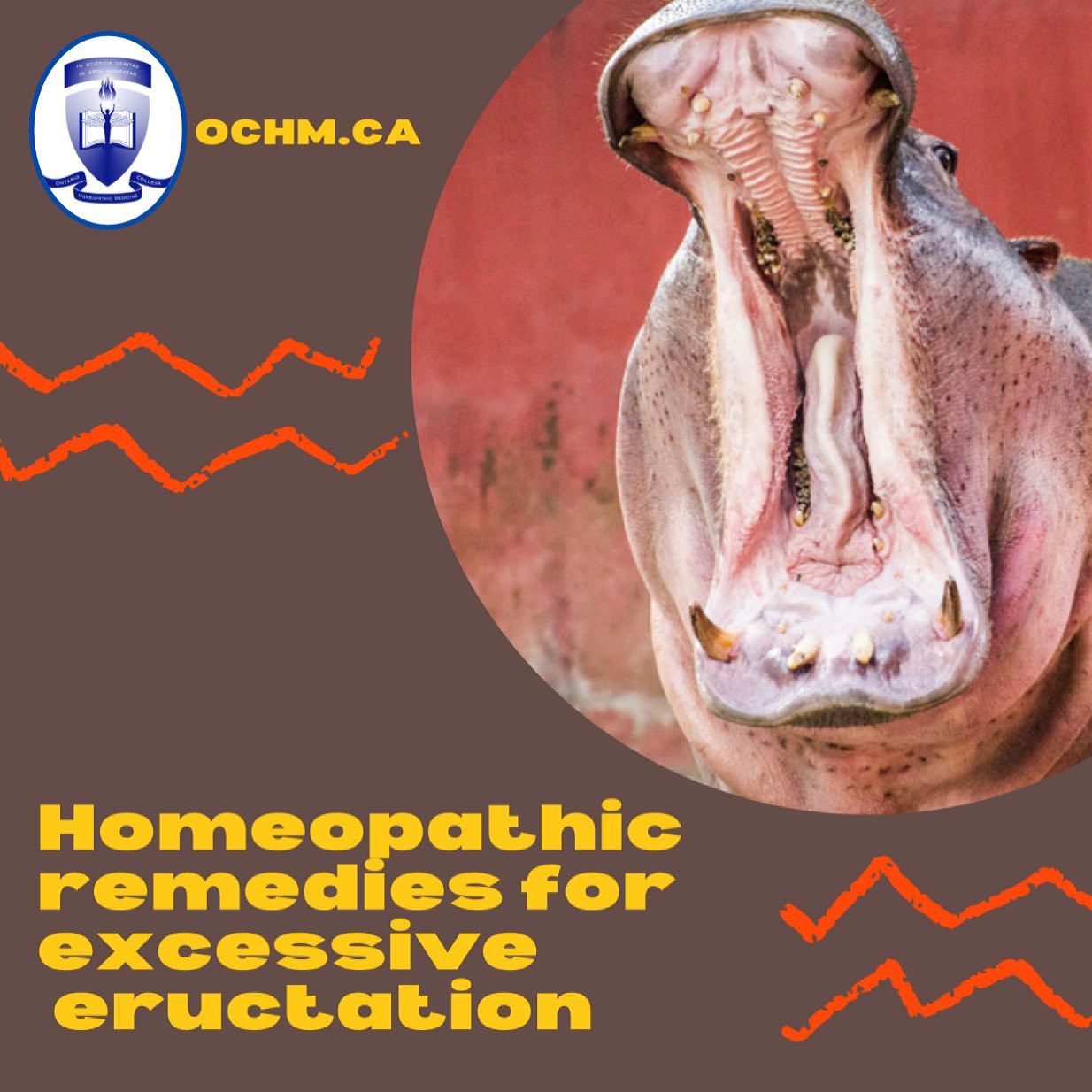 Eructations - excessive gas coming up from the upper digestive tract through the mouth