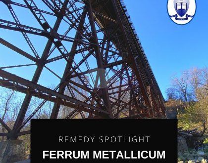Ferrum Metallicum is a great Homeopathic Remedy for Anemia