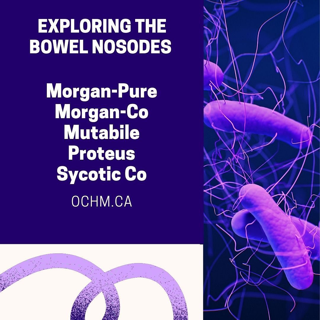 Materia Medica on five Bowel Nosodes: Morgan Pure, Mutabile, Proteus and Sycotic Co