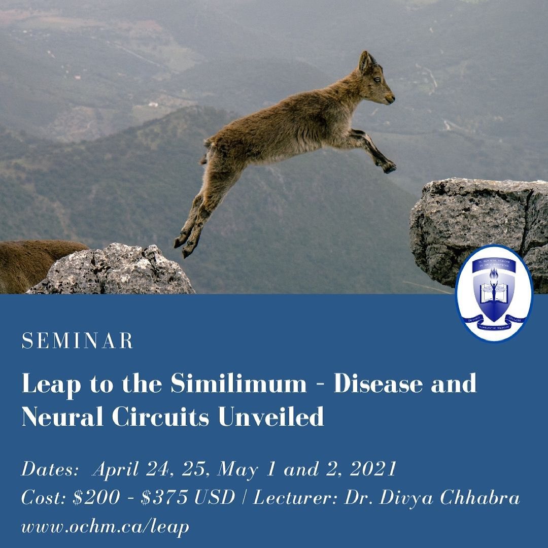 Seminar: Leap to the Similimum – Disease and Neural Circuits Unveiled